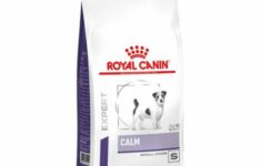 anti-stress pour chien - Royal Canin Expert Calm Small Dogs