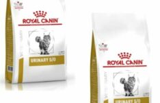 croquettes pour chat avec problèmes urinaires - Royal Canin Veterinary Urinary S/O 2×400 g