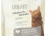 croquettes pour chat avec problèmes urinaires - Sanabelle Urinary 10 kg