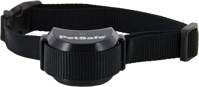 collier anti-fugue pour chien - PetSafe Stay & Play