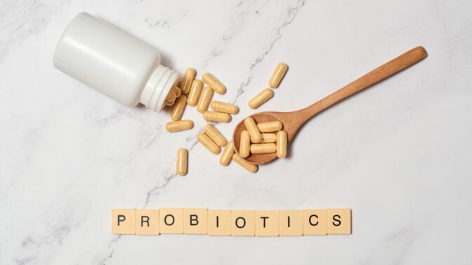 Les meilleurs probiotiques pour maigrir 1
