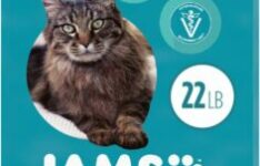 croquettes pour chat - Iams Proactive Health Weight&Hairball Care (10 kg)