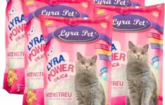 litière pour chat en appartement - Lyra Pet Lyra Power Silica (6×5 L / 12,5 kg)