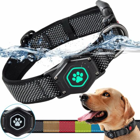 collier GPS pour chien - Profavo AirTag lumineux