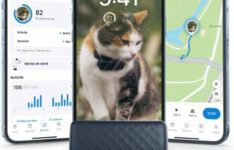 collier GPS pour chat - Tractive Mini