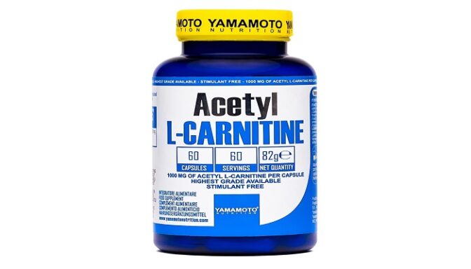 L’Acétyl-L-carnitine 
