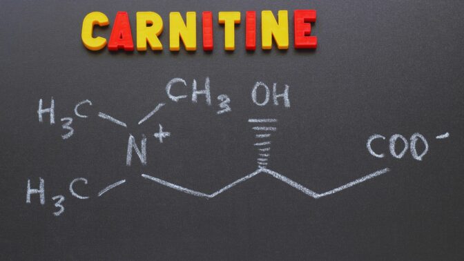 Les meilleures L-carnitine 1