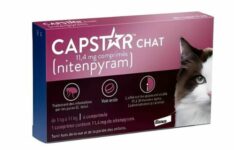 Comprimés anti-puces pour chat Capstar