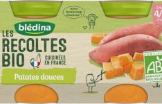 Blédina Les Récoltes Bio patates douces