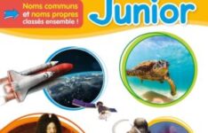 dictionnaire - Dictionnaire Hachette Junior