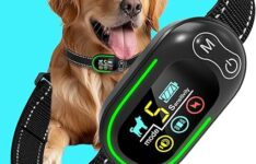 Collier de dressage pour chien CandyDOG