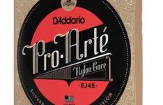 D’Addario Pro-Arte EJ45