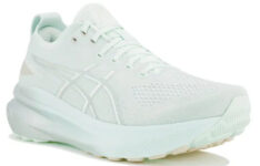 Asics Gel-Kayano 31