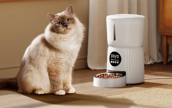 Les meilleurs distributeurs automatiques de croquettes pour chat 1 Les meilleurs distributeurs automatiques de croquettes pour chat