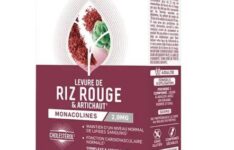Santé Verte Levure de riz rouge & Artichaut
