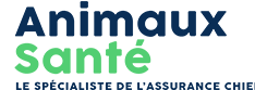 assurance pour chien - Animaux Santé