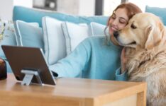 Les meilleures assurances pour chien