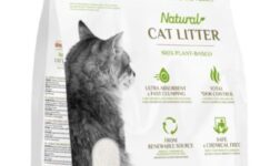 Litière pour chat Almo Nature (4,54 kg)