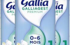 lait anti-colique - Gallia Galliagest – 1er âge 820 g