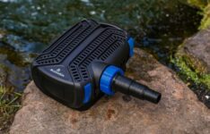 Les meilleures pompes pour bassin d’extérieur