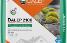 Dalep 2100