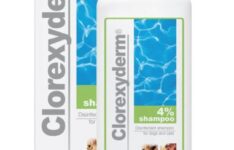 ICF Clorexyderm
