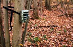 Les meilleures caméras de chasse