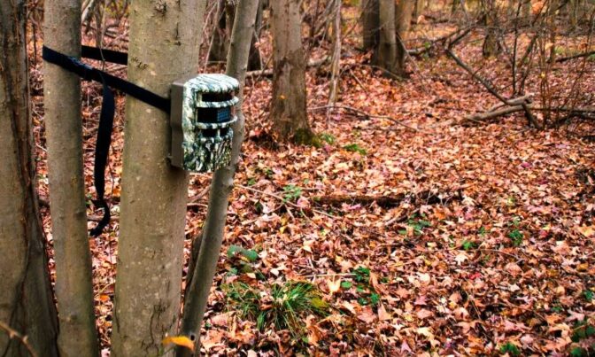Les meilleures caméras de chasse 1 Les meilleures caméras de chasse