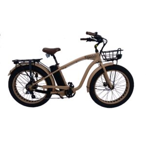  - Wello Bikes Fat Beach Cruiser