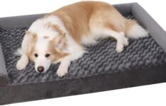 lit orthopédique pour chien - KSIIA GD035-036