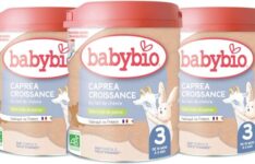 lait infantile pour bébé - Babybio Caprea 3ème Âge