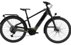 Cannondale Tesoro Neo X 2